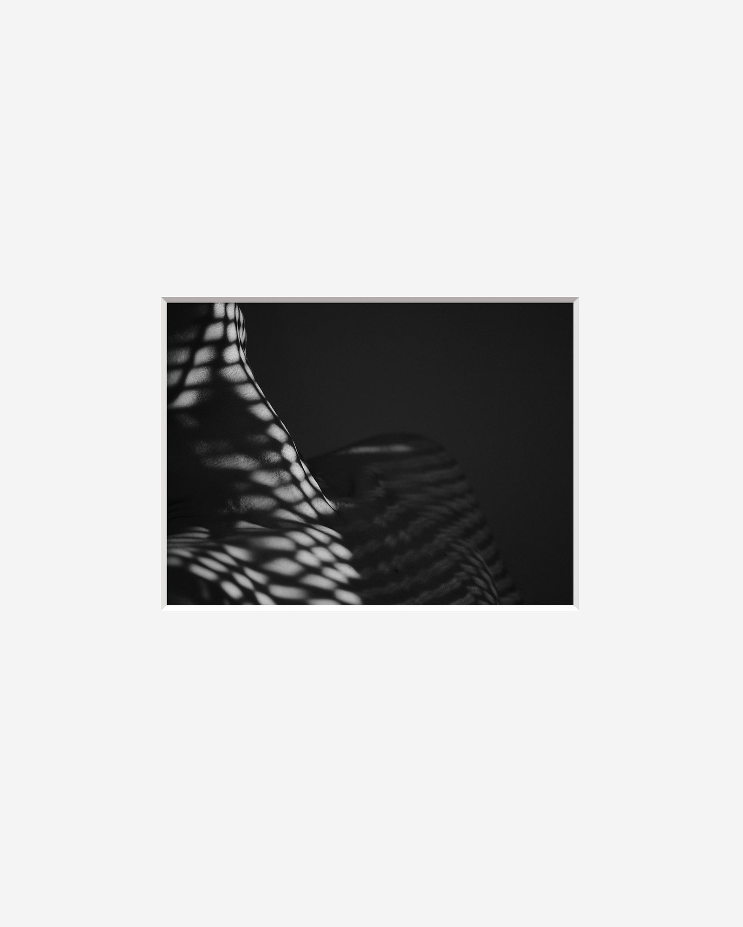 Plate 22, Geometric Fluidity