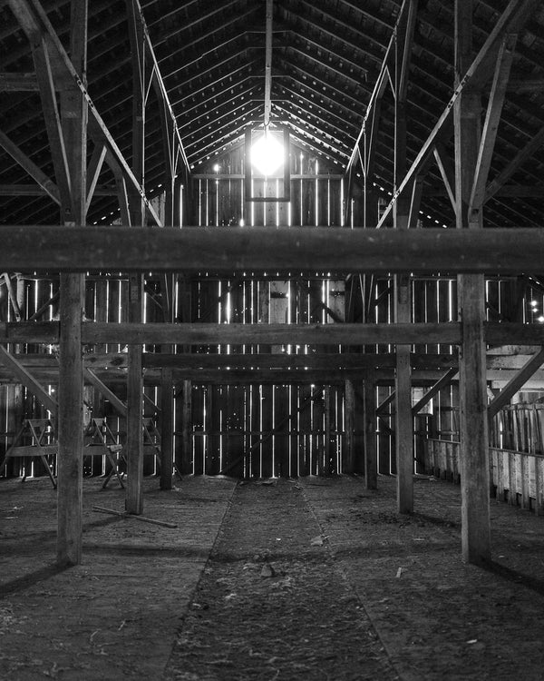 Pierce Ranch Hay Barn, 2020