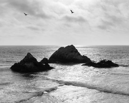 Seascape Photograph, Seal Rocks San Francisco