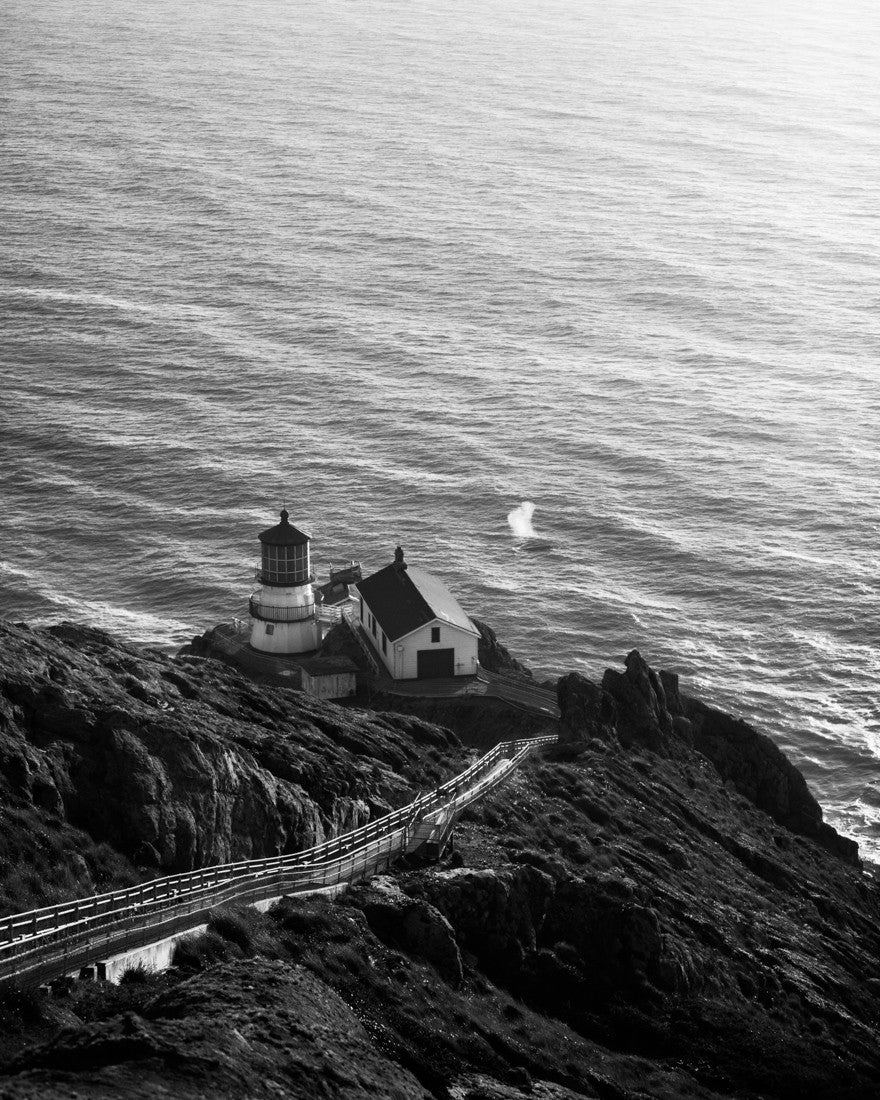 Point Reyes National Seashore Photograph, Lighthouse and Whale