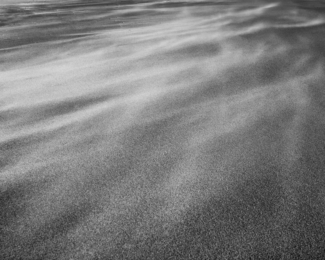 Point Reyes National Seashore Photograph, Blowing Sand